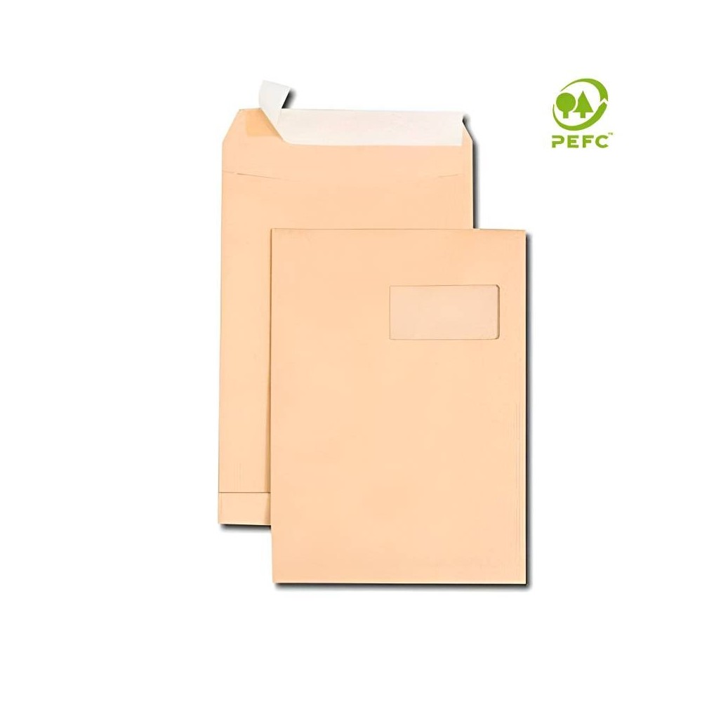 Paquet De 250 Pochettes GPV Kraft 260 x 360 mm