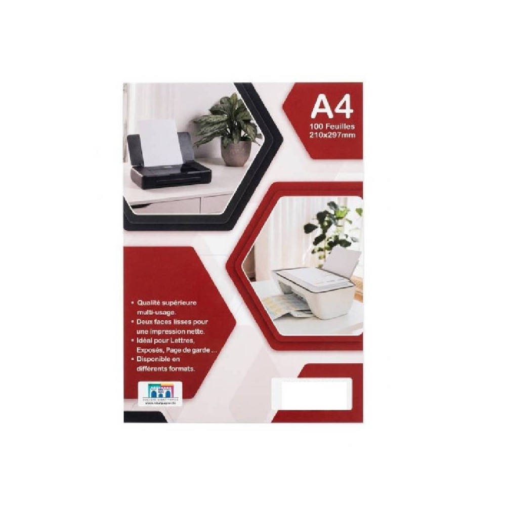Paquet de 100 Feuilles RIBAT Couché Mat A4 170G