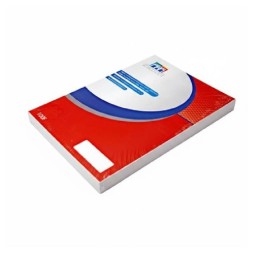 Paquet de 100 Feuilles RIBAT Couché Mat A3 115G