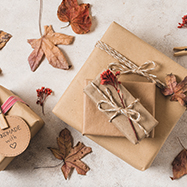 Accessoires et Périphériques